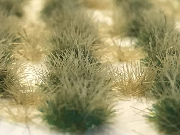 Rye Grass Self Adhesive Static Grass Tufts